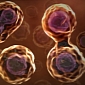 Scientists Turn Stem Cells Into Drug Delivery Vehicles