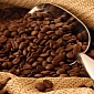 Scientists Use Coffee Grounds to Make Booze