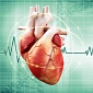 Scientists Use Human Stem Cells to Engineer a Beating Mouse Heart