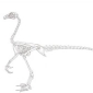 Scientists to Create a 'Chickenosaurus'