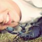 Scorpion Venom Reduces Heart Bypass Failure