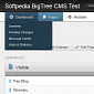 Script of the Day: BigTree CMS