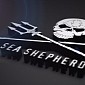 Sea Shepherd Activists Try to Save 33 Whales from Slaughter, Get Arrested
