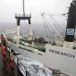 Sea Shepherd Covers Japanese Whaling Ship in Rancid Butter