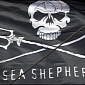 Sea Shepherd Criticizes Southwest Airlines for Its Partnership with SeaWorld