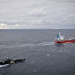Sea Shepherd Denies Whalers Access to Fuel Ship