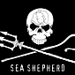Sea Shepherd Intercepts Japanese Poachers, Not One Whale Is Killed