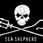 Sea Shepherd Lashes Out at Western Australia over Ongoing Shark Cull
