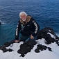 SeaWorld Is a “Soulless Corporation,” Captain Paul Watson Says