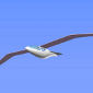 Seagull-Like Designs for Cutting-Edge Aircraft Developed
