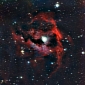 Seagull Nebula Depicted in Amazing Colors