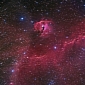 Seagull Nebula Flies High in the Night Sky