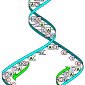 Security System Against Harmful DNA Found