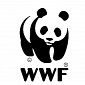 Seize Your Power: WWF Launches New International Campaign