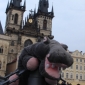 Send Your Stuffed Animal to Prague with Toy Travel