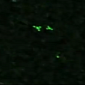 Several UFOs’ Flight in the German Sky Caught on Camera