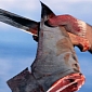 Shark Fin Soup Now Banned at Official Banquets in China