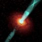 Shedding Light on Black Hole Mysteries