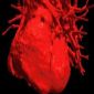 Shortness of Breath Tells You If You Have A Heart Condition