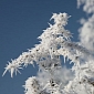 Siberian Snowfall Influences Harshness of US Winters