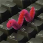 Silly Worm Aiming to Infect USB Devices