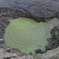 Sinkhole Swallows Pond in Newcastle, California – Photo