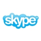 Skype Is a Possibility for the Nintendo DSi