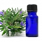 Smell of Rosemary Now Said to Boost Memory