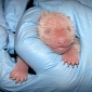 Smithsonian's National Zoo Releases Pictures of Newborn Panda Cub