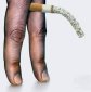 Smoking Induces Sperm Mutations
