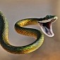 Snakes with Legs Roamed Our Planet in Ancient Times, Study Reveals