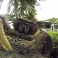 Sneaky Crab Steals Camera and Drags It Into His Hole – Video