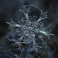 Snowflake Crystals Featured in Amazing Macro Close-up Shots