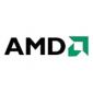 Softpedia Users Bet on AMD