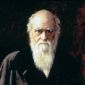 Solving Darwin's Dilemma