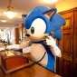 Sonic Gets His Own Spinball Rollercoster
