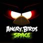 Sony Will Decide Whether Angry Birds Arrives on the PlayStation Vita