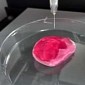 Soon, You'll Be Able to Make Replacement Body Parts at Home