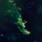 Space Telescope Glimpses a Witch's Head and Its Babies