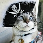 Spangles, the Cross-Eyed Kitty, Wishes You a Happy Talk Like A Pirate Day
