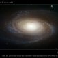 Spectacular Photo of Grand Design Spiral Galaxy M81