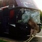 Mileage Stops at 666 After Alleged Devil Moose Collides with Bus