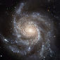 Spiral Galaxies Came from Early Oddities