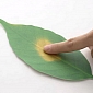 Spotlight: Cool Paper Leaves Double as Indoor Thermometers