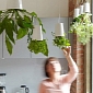 Spotlight: Designer Takes to Growing Plants Upside Down