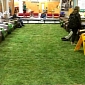 Spotlight: Indoor Lawn Helps Cornell Students Relax
