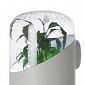 Spotlight: The Andrea Air Purifier Uses a Living Plant to Clean the Air