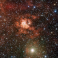 Star Nursery Hosts Massive Dying Binary Star System