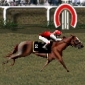 Starters Orders 3 Brings Horse Racing to Your PC