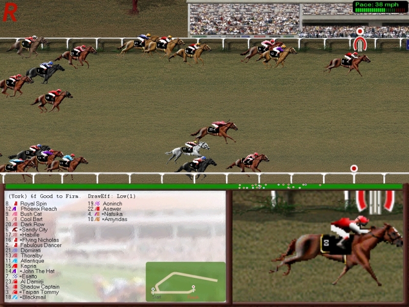 Computer horse racing simulation games